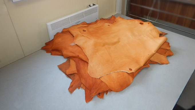 Шкуры из Монголии / Фото: Алтайская таможня