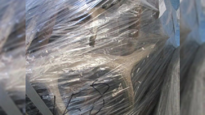 Рога марала / Фото: алтайский Россельхознадзор