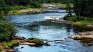 Река / Изображение сгенерировано "Шедеврум" от ИИ YandexART / amic.ru