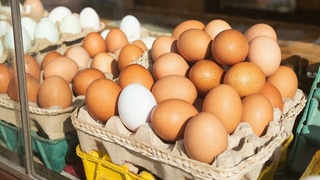 Яйца / Изображение сгенерировано GigaChat от Сбера / amic.ru