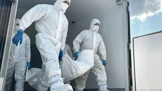 Обмен телами погибших военных в июне 2025 года / Фото: t.me/vr_medinskiy