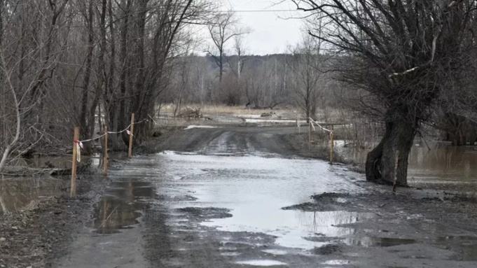 Паводковая ситуация в Затоне / Фото: Barnaul.org