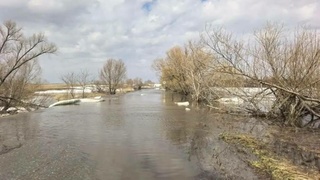 Подтопление на дороге / Фото: алтайский Минтранс