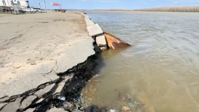 Фото: кадр из видео "Вести Алтай"