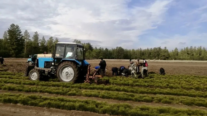 Фото: Telegram-канал Виктора Томенко