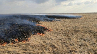 Фото: ГУ МЧС России по Алтайскому краю