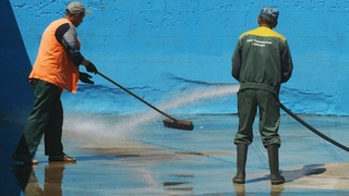 Фото с голубым цветов в кадре от подписчика amic.ru