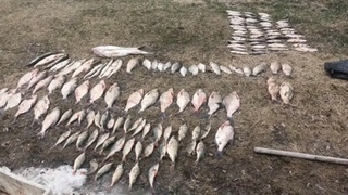 Барнаульцы попались на браконьерстве / Фото: МВД по Алтайскому краю