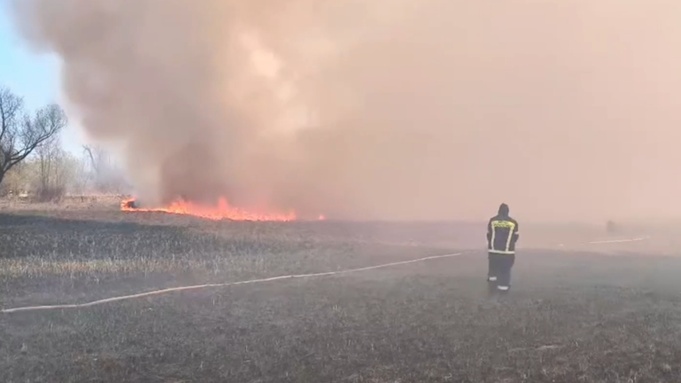 Пожар в пригороде Барнаула / Фото: скриншот видео ГУ МЧС России по Алтайскому краю
