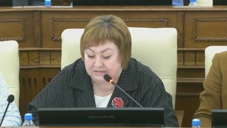 Евгения Боровикова / Фото: пресс-служба партии "Справедлива Россия"