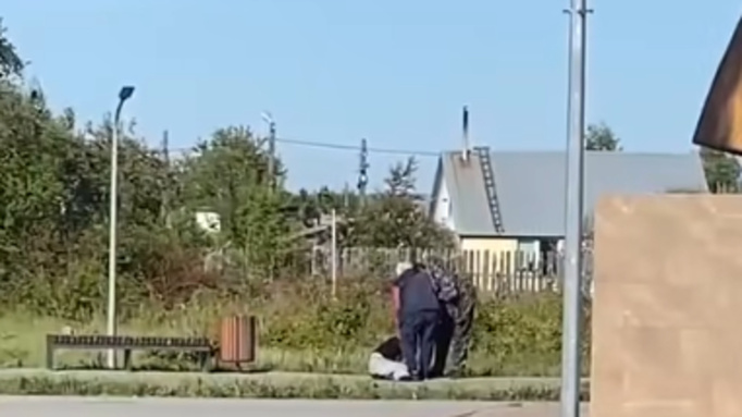 Мужчина напал на девочку в Камне-на-Оби / Кадр из видео