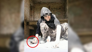 Живодер / Фото: nsk.om1.ru со ссылкой на администратора Telegram-канала "Анонимный Новосибирск" 