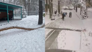 Место инцидента / Фото: предоставлено "КП-Новосибирск"