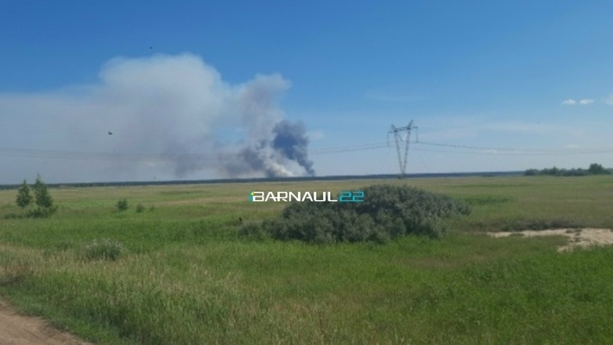Пожар в Солоновском участковом лесничестве Алтайского края / Фото: Barnaul 22