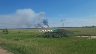 Пожар в Солоновском участковом лесничестве Алтайского края / Фото: Barnaul 22