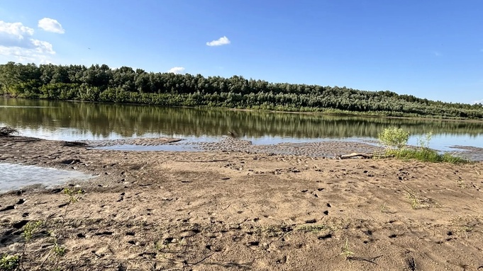 Река Чарыш, где утонул ребенок / Фото: Следственный комитет по Алтайскому краю