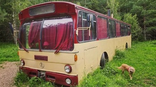 Арендный бизнес на колесах / Фото: "Авито"