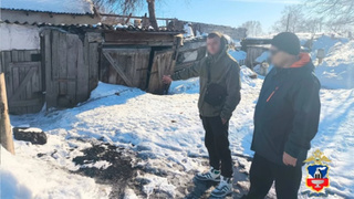 На Алтае пьяный парень лопатой покалечил собак / Фото: МВД