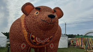Всероссийский день поля &mdash; 2026 / Фото: Business FM Барнаул