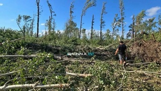 Центральный парк в Краснощеково после мощного ветра / Фото: Barnaul 22