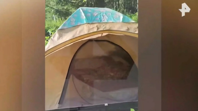Палатка, из которой медведь вытащил туристку / Кадр из видео РЕН ТВ