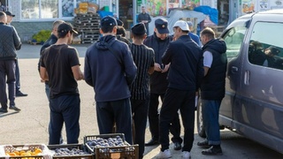 Операция "Нелегальный мигрант" / Фото: ГУ МВД России по Алтайскому краю