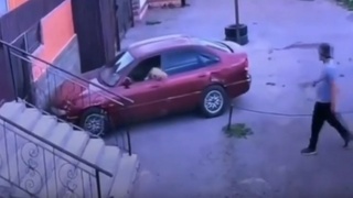 Кошка угнала машину в Казахстане / Кадр из видео