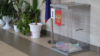 Выборы 2026 года в Алтайском крае / Фото: amic.ru