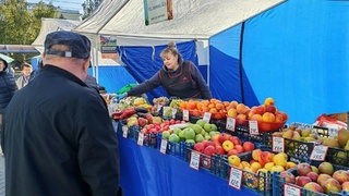 Продовольственные ярмарки в Барнауле / Фото: пресс-служба мэрии Барнаула