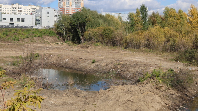 Парковая территория на Шумакова / Фото: Екатерина Смолихина / amic.ru