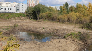 Парковая территория на Шумакова / Фото: Екатерина Смолихина / amic.ru