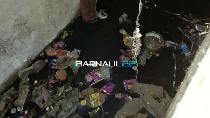Затопленный подвал дома / Barnaul 22