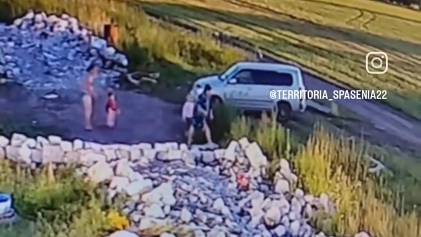 Женщина издевается над кошкой в Барнауле / Фото: скриншот видео