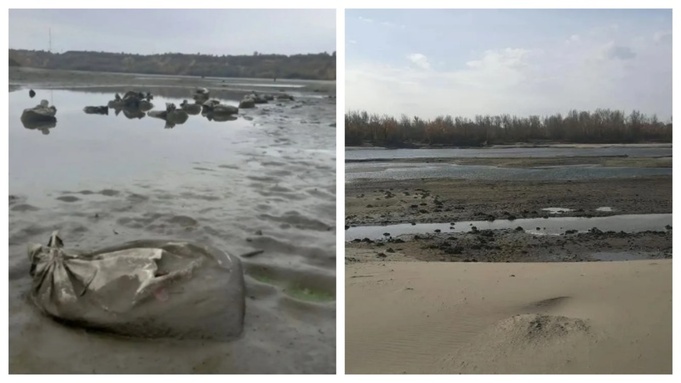 Мусор на городском пляже и уборка / Фото: Народный фронт. Алтайский край, МЦУ города Барнаула