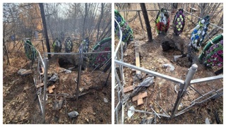 Разоренная могила / Фото: Ньюсач / Двач