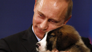 Владимир Путин / Фото: Алексей Дружинин / TASS