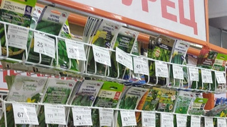 Точка продажи семян / Фото: алтайский Россельхознадзор