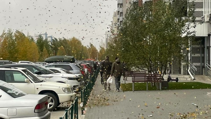 Ураганный ветер / Фото: житель Барнаула