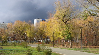 Бывший парк им. Ленина / Фото: amic.ru