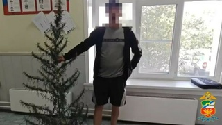 Мужчину с кустом конопли задержали в Алтайском крае / Кадр из видео