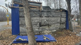 Последствия урагана в Барнауле / Фото: МЦУ Барнаула