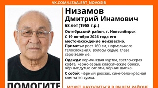 Розыск пропавшего человека / Фото: "ЛизаАлерт"  Новосибирск