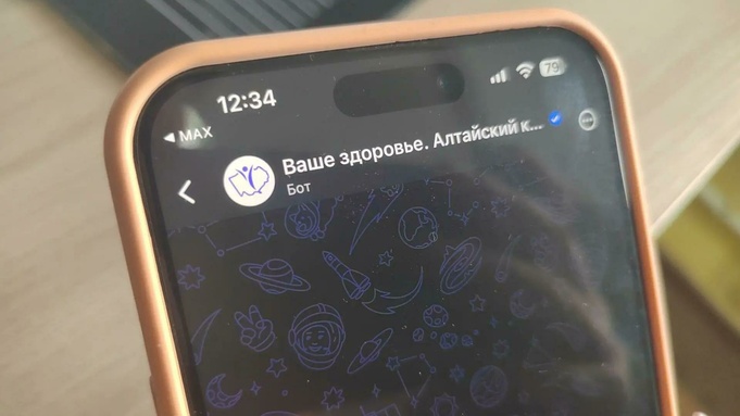 Специальный чат-бот в "Максе" / Фото: amic.ru