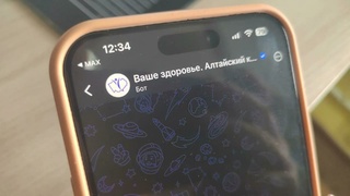 Специальный чат-бот в "Максе" / Фото: amic.ru