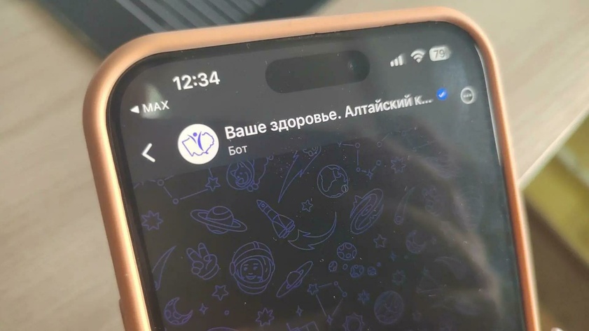 Специальный чат-бот в "Максе" / Фото: amic.ru