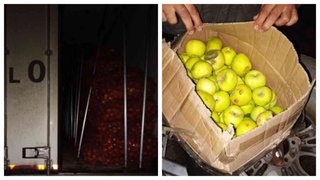 Запрещенные к ввозу продукты / Фото: алтайский Россельхознадзор