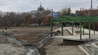 Осушенный пруд в парке "Изумрудный" / Фото: amic.ru
