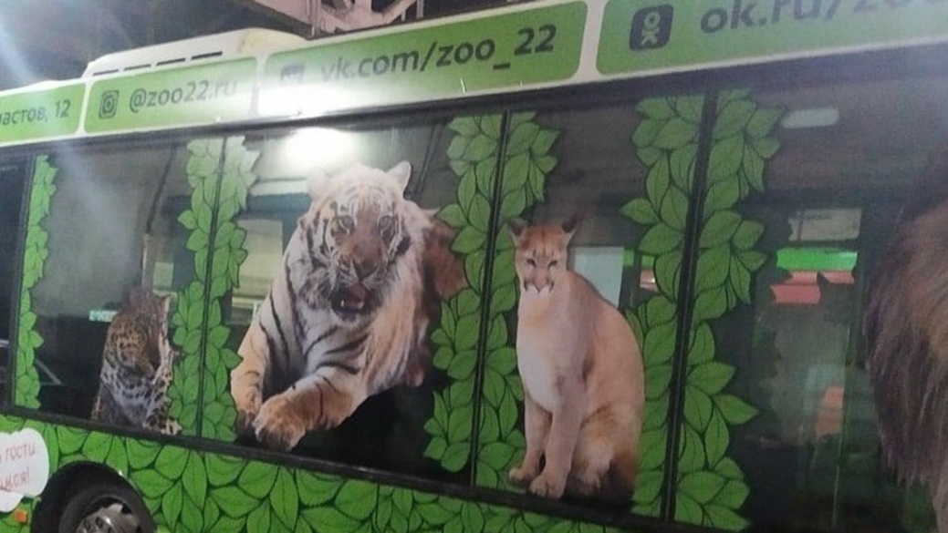 В зоопарке понравились. Существо на окне автобуса. Фото автобуса с зоопарком с рисунками зверей.