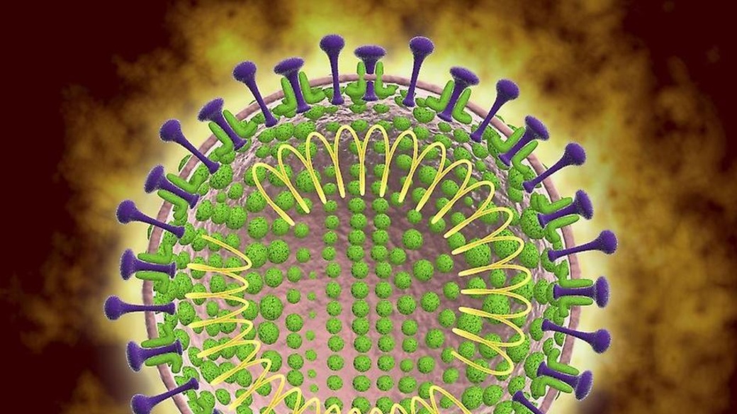 посмори и угорни пж Артём Дениско Дзен