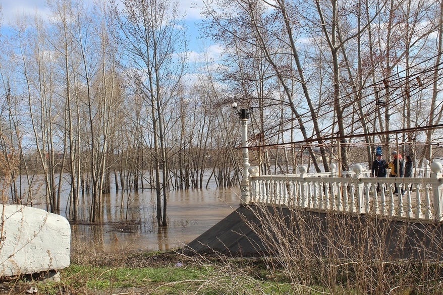 Вода в бии на сегодня. Уровень воды река Бия Бийск. Понтонный мост Бийск. Уровень воды в реке Ловать. Понтонный мост город Бийск.